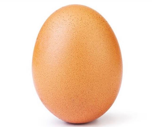 تحريم البيض عند الشيعة